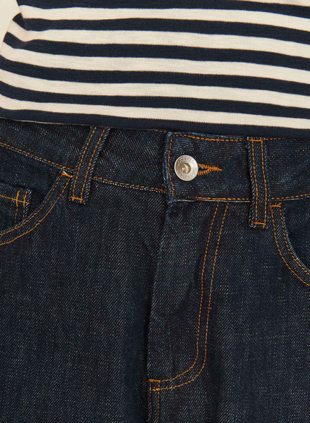 Earth Silver Jeans in Indigo