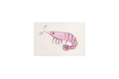 Shrimp Card