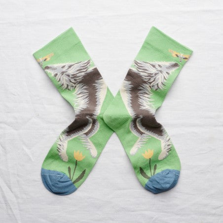 Dog Socks in Lichen